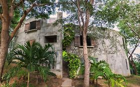 Hix Island House